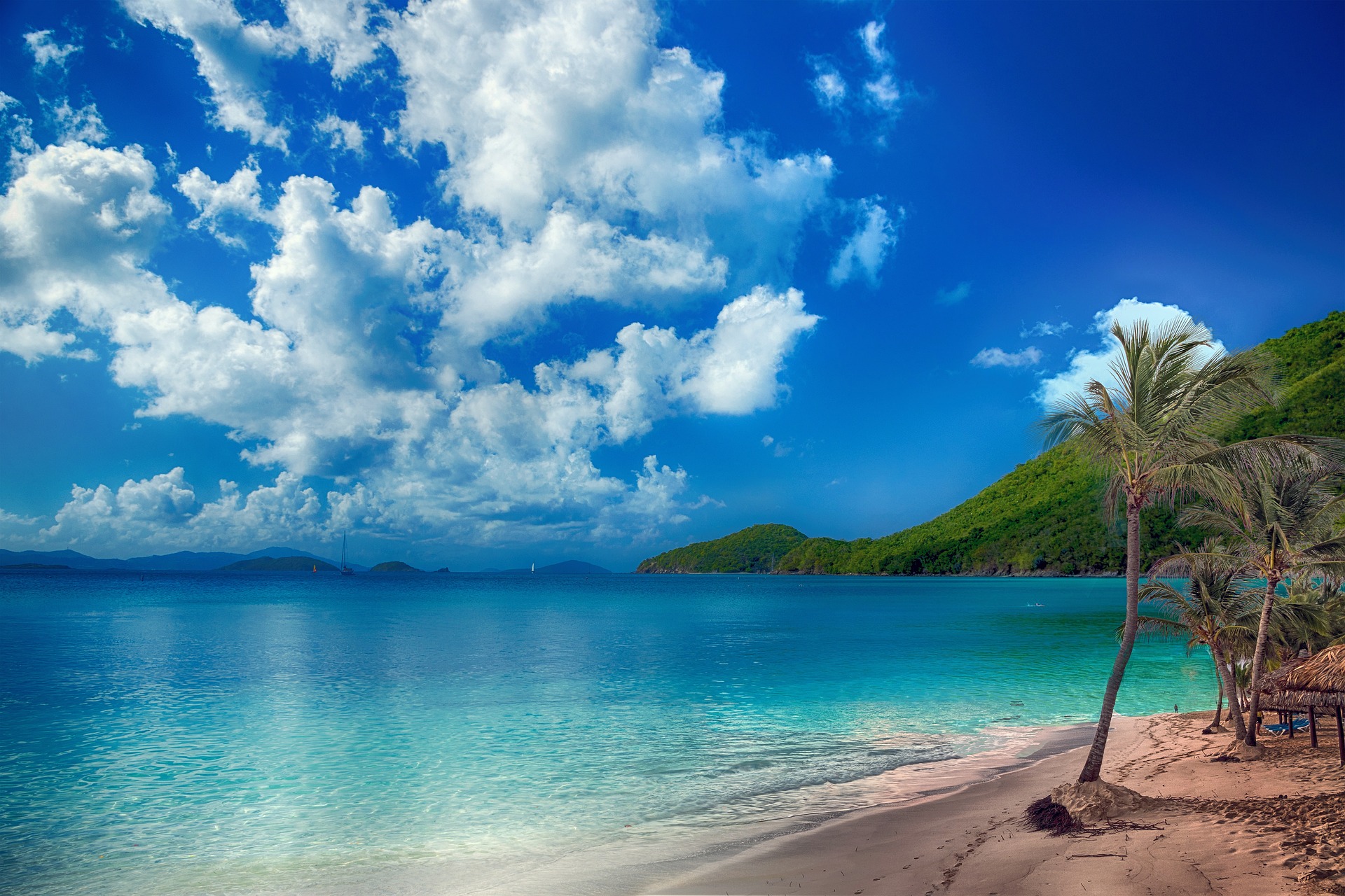 Reisen strand palme wasser meer